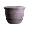 Campana