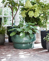 Terra Green Planters