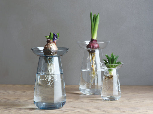 Aqua culture vase